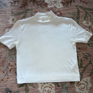 Aritzia Babaton Ribbed Mock Neck Shirt